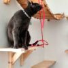 Estanterías para gatos - Imagen 2